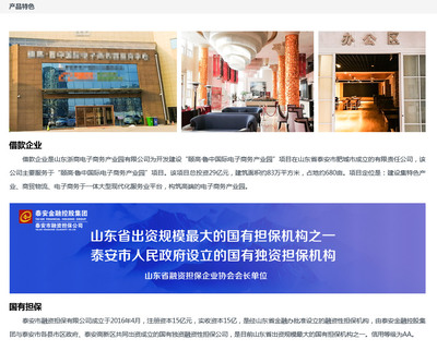 國(guó)有擔(dān)保助力電商騰飛 聚焦網(wǎng)上銷售家具企業(yè)180天短期融資